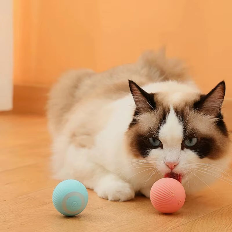 Gravity Intelligent Rolling Ball Cat Toys USB Charging